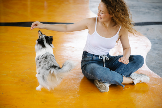 A dog and dog trainer playing on a yellow resin floor in a dog kennel.