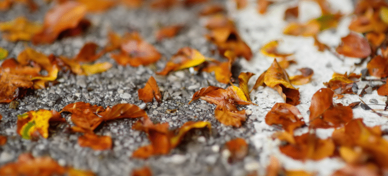 Autumn leaves scattered across a resin bound gravel driveway surface, highlighting the impact of cold weather conditions on resin driveway installation.
