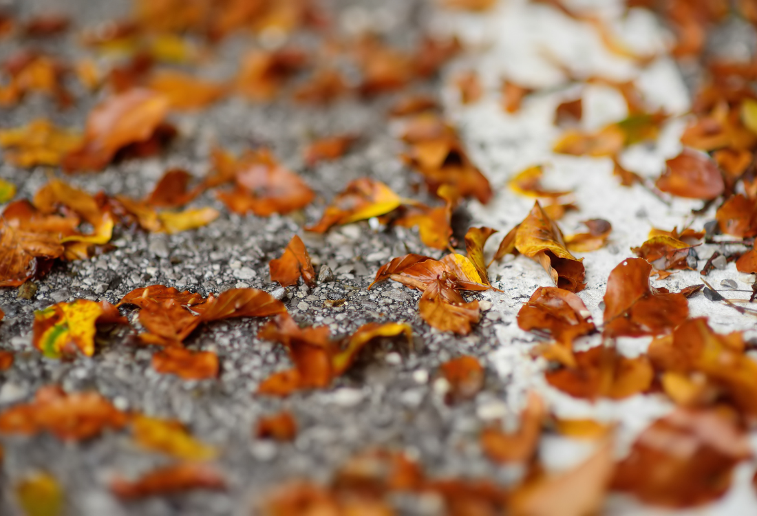 Autumn leaves scattered across a resin bound gravel driveway surface, highlighting the impact of cold weather conditions on resin driveway installation.